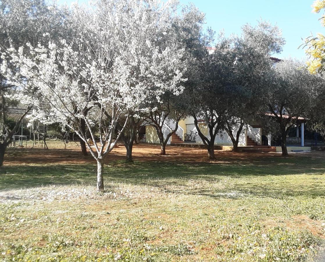 Ližnjan Apartments Nena 3* מראה חיצוני תמונה