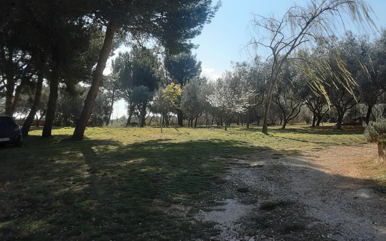 Ližnjan Apartments Nena 3* מראה חיצוני תמונה