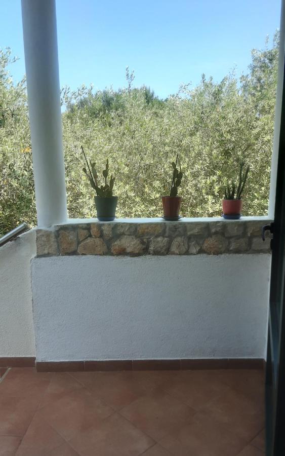 Ližnjan Apartments Nena 3* מראה חיצוני תמונה