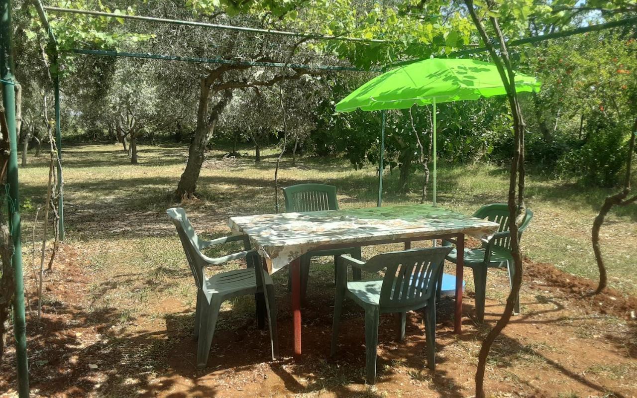 Ližnjan Apartments Nena 3* מראה חיצוני תמונה